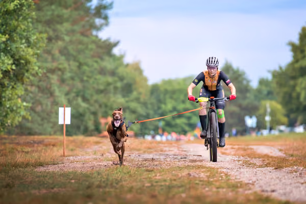 Libová Jízda 2026 💚 Autumn — Sobota – BKJ