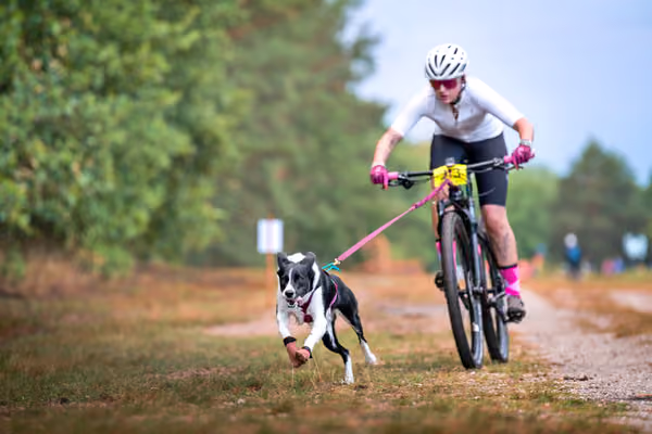 Libová Jízda 2026 💚 Autumn — Sobota – BKJ