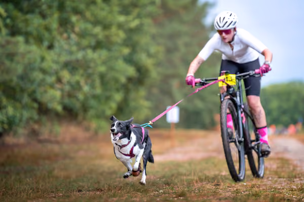 Libová Jízda 2026 💚 Autumn — Sobota – BKJ