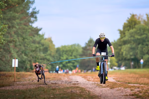 Libová Jízda 2026 💚 Autumn — Sobota – BKJ