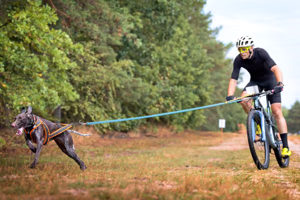 Libová Jízda 2026 💚 Autumn — Sobota – BKJ