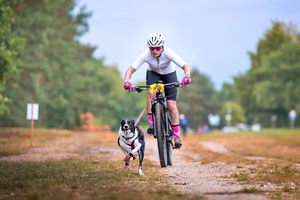 Libová Jízda 2026 💚 Autumn — Sobota – BKJ