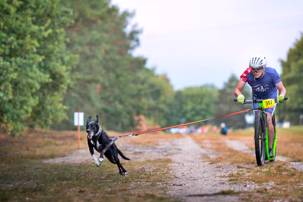 Libová Jízda 2026 💚 Autumn — Sobota – SC