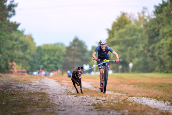 Libová Jízda 2026 💚 Autumn — Sobota – SC