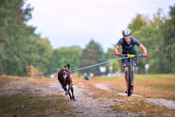 Libová Jízda 2026 💚 Autumn — Sobota – SC
