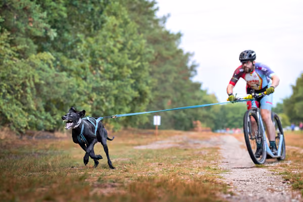 Libová Jízda 2026 💚 Autumn — Sobota – SC