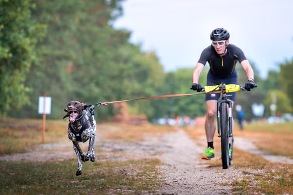 Libová Jízda 2026 💚 Autumn — Sobota – SC