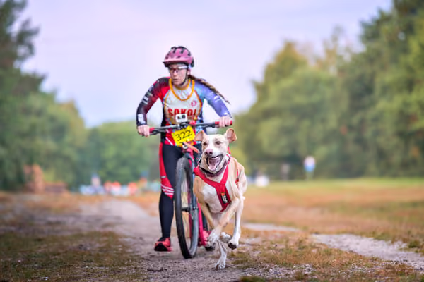 Libová Jízda 2026 💚 Autumn — Sobota – SC