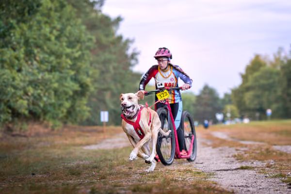 Libová Jízda 2026 💚 Autumn — Sobota – SC