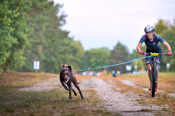 Libová Jízda 2026 💚 Autumn — Sobota – SC