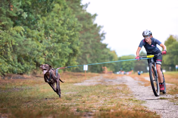 Libová Jízda 2026 💚 Autumn — Sobota – SC
