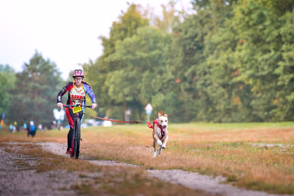 Libová Jízda 2026 💚 Autumn — Sobota – SC