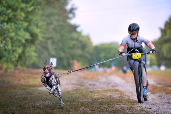 Libová Jízda 2026 💚 Autumn — Sobota – SC