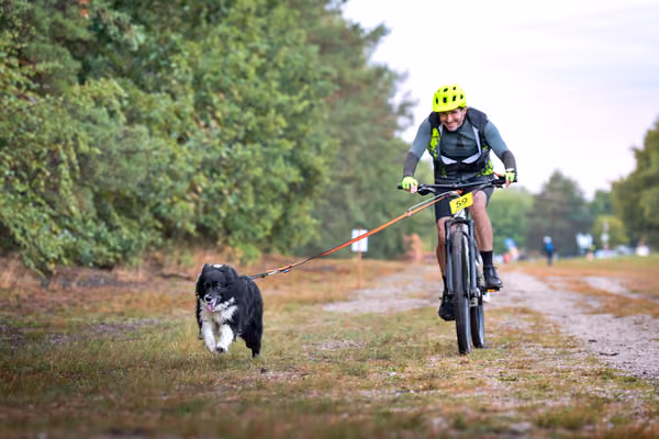 Libová Jízda 2026 💚 Autumn — Sobota – BKJ