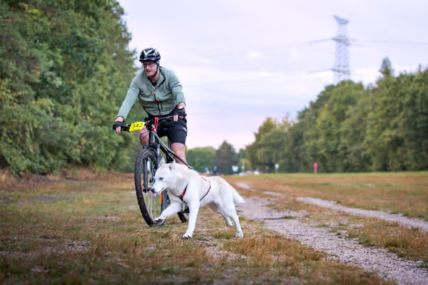 Libová Jízda 2026 💚 Autumn — Sobota – BKJ