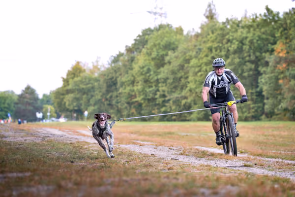 Libová Jízda 2026 💚 Autumn — Sobota – BKJ