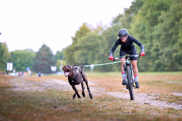 Libová Jízda 2026 💚 Autumn — Sobota – BKJ