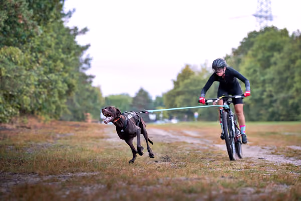 Libová Jízda 2026 💚 Autumn — Sobota – BKJ