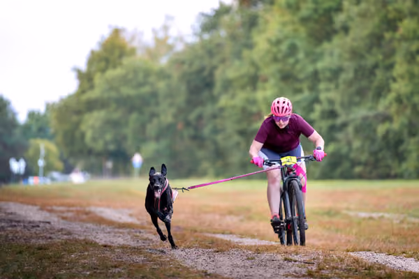 Libová Jízda 2026 💚 Autumn — Sobota – BKJ