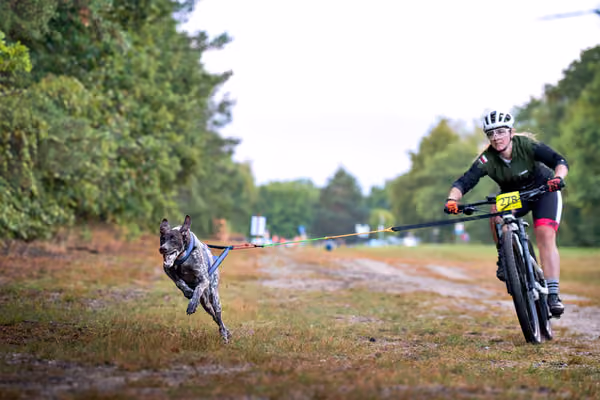 Libová Jízda 2026 💚 Autumn — Sobota – BKJ