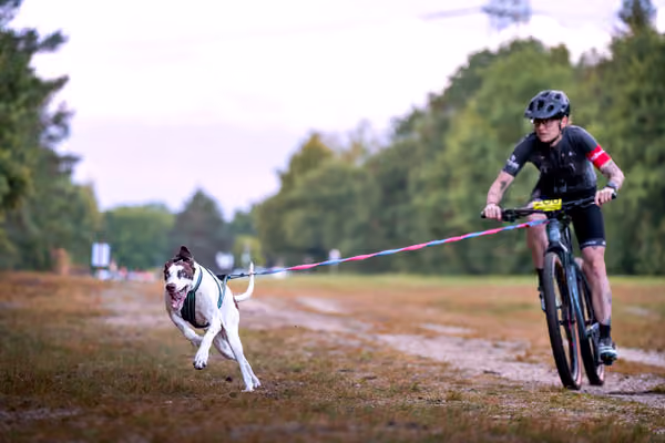 Libová Jízda 2026 💚 Autumn — Sobota – BKJ