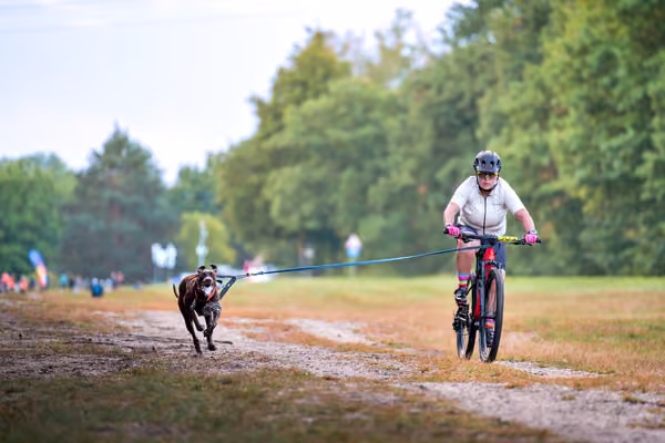 Libová Jízda 2026 💚 Autumn — Sobota – BKJ