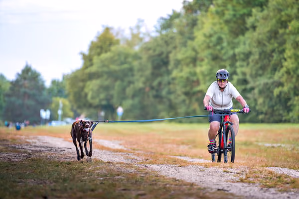 Libová Jízda 2026 💚 Autumn — Sobota – BKJ