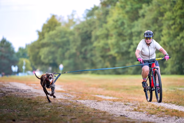Libová Jízda 2026 💚 Autumn — Sobota – BKJ