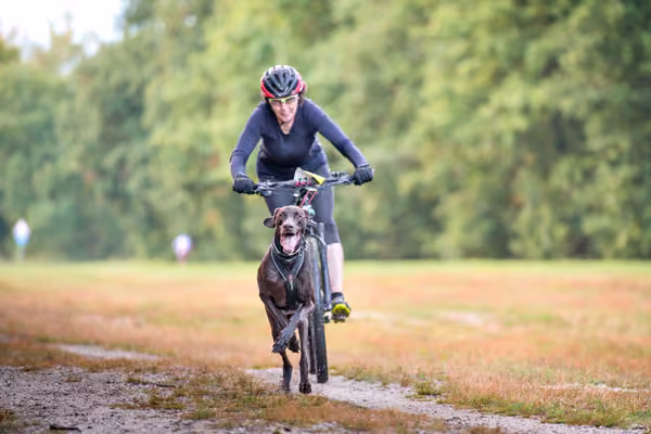 Libová Jízda 2026 💚 Autumn — Sobota – BKJ