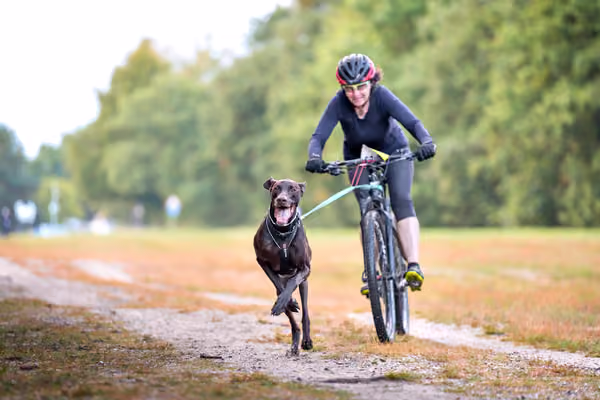 Libová Jízda 2026 💚 Autumn — Sobota – BKJ