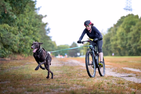 Libová Jízda 2026 💚 Autumn — Sobota – BKJ