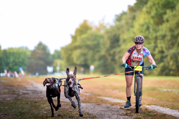 Libová Jízda 2026 💚 Autumn — Sobota – SC2
