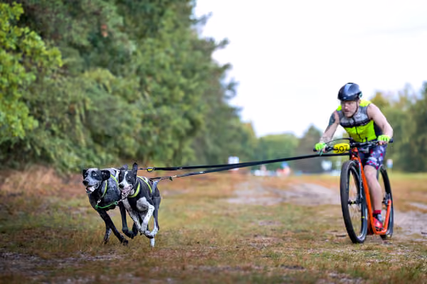 Libová Jízda 2026 💚 Autumn — Sobota – SC2