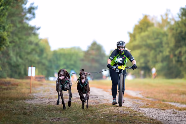 Libová Jízda 2026 💚 Autumn — Sobota – SC2