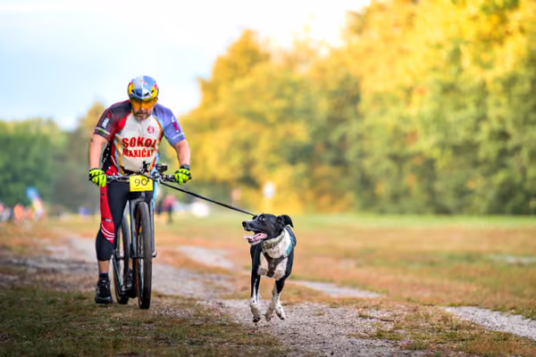 Libová Jízda 2026 💚 Autumn — Sobota – SC