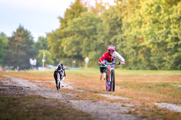 Libová Jízda 2026 💚 Autumn — Sobota – SC