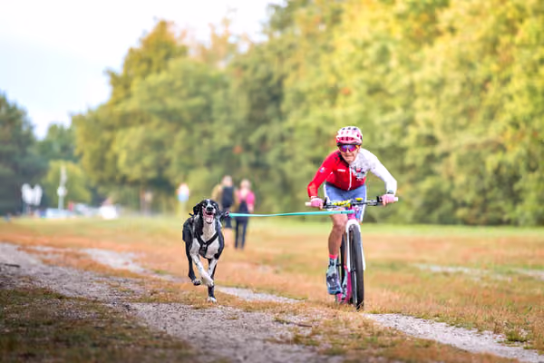 Libová Jízda 2026 💚 Autumn — Sobota – SC