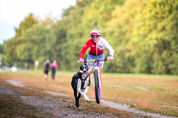 Libová Jízda 2026 💚 Autumn — Sobota – SC