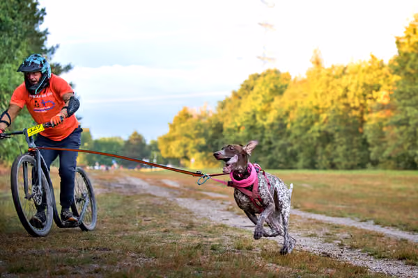 Libová Jízda 2026 💚 Autumn — Sobota – SC