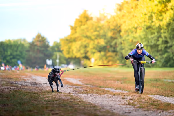 Libová Jízda 2026 💚 Autumn — Sobota – SC