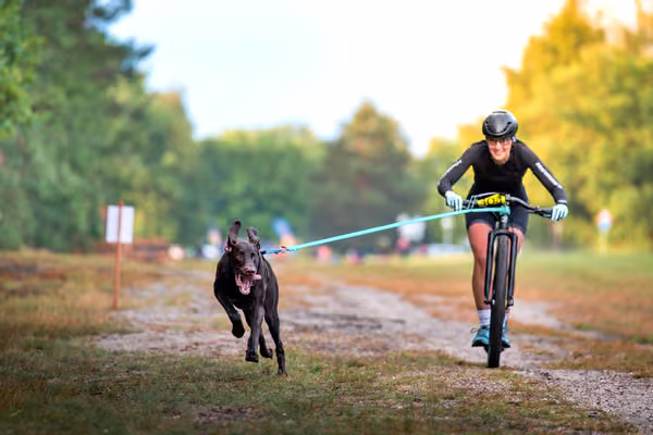 Libová Jízda 2026 💚 Autumn — Sobota – SC