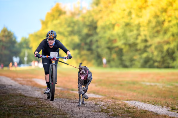 Libová Jízda 2026 💚 Autumn — Sobota – SC