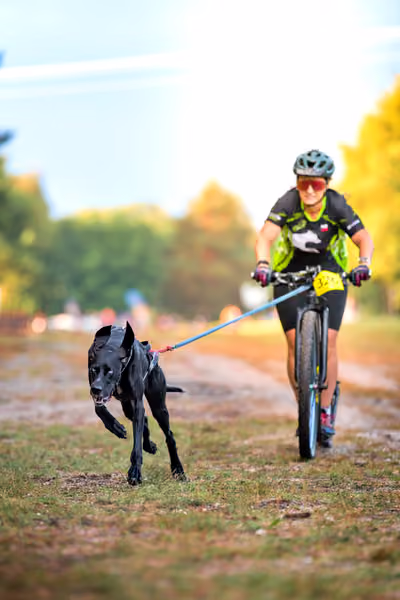 Libová Jízda 2026 💚 Autumn — Sobota – SC