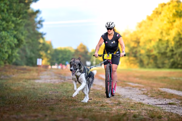 Libová Jízda 2026 💚 Autumn — Sobota – SC