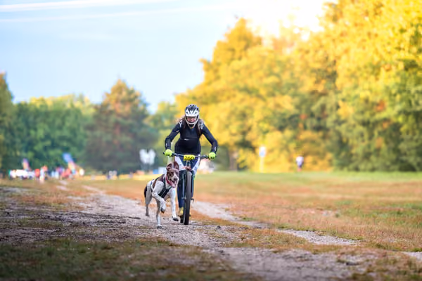 Libová Jízda 2026 💚 Autumn — Sobota – SC