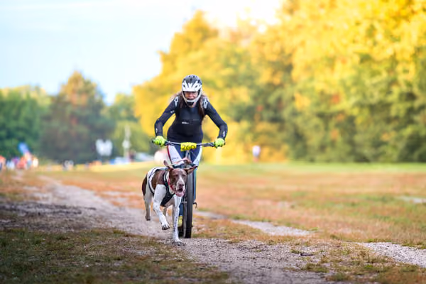 Libová Jízda 2026 💚 Autumn — Sobota – SC