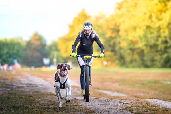 Libová Jízda 2026 💚 Autumn — Sobota – SC