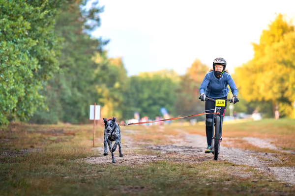 Libová Jízda 2026 💚 Autumn — Sobota – SC