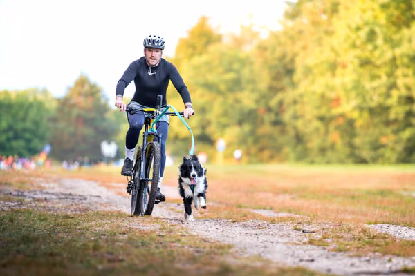 Libová Jízda 2026 💚 Autumn — Sobota – BKJ