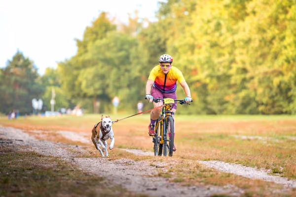 Libová Jízda 2026 💚 Autumn — Sobota – BKJ